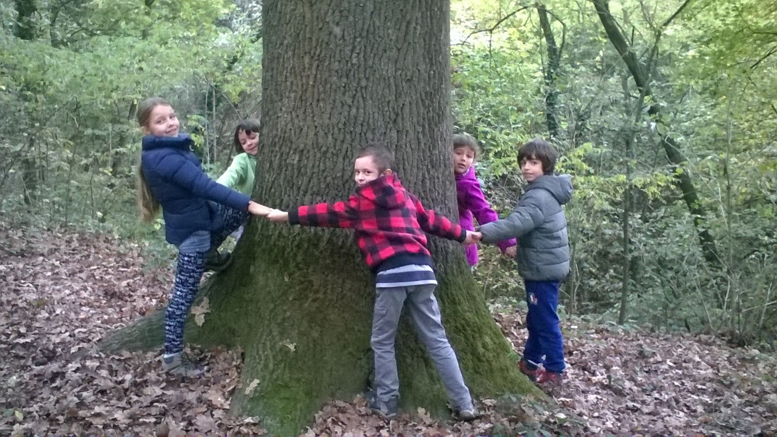 Biodanza - Contatto e carezza